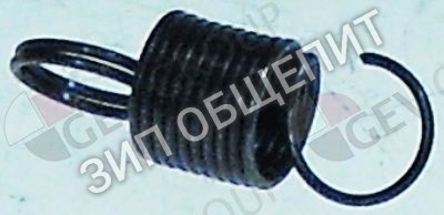 Пружина 048298 Electrolux для 774410 / ZHCP∕G800