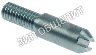 Палец с резьбой 0G6450 Electrolux, для рельсы для ACFG101-0, ACFG102-0, ECFG101-0, ECFG102-0, FCFG101∕0, FCFG102-0, NCF∕E6-0